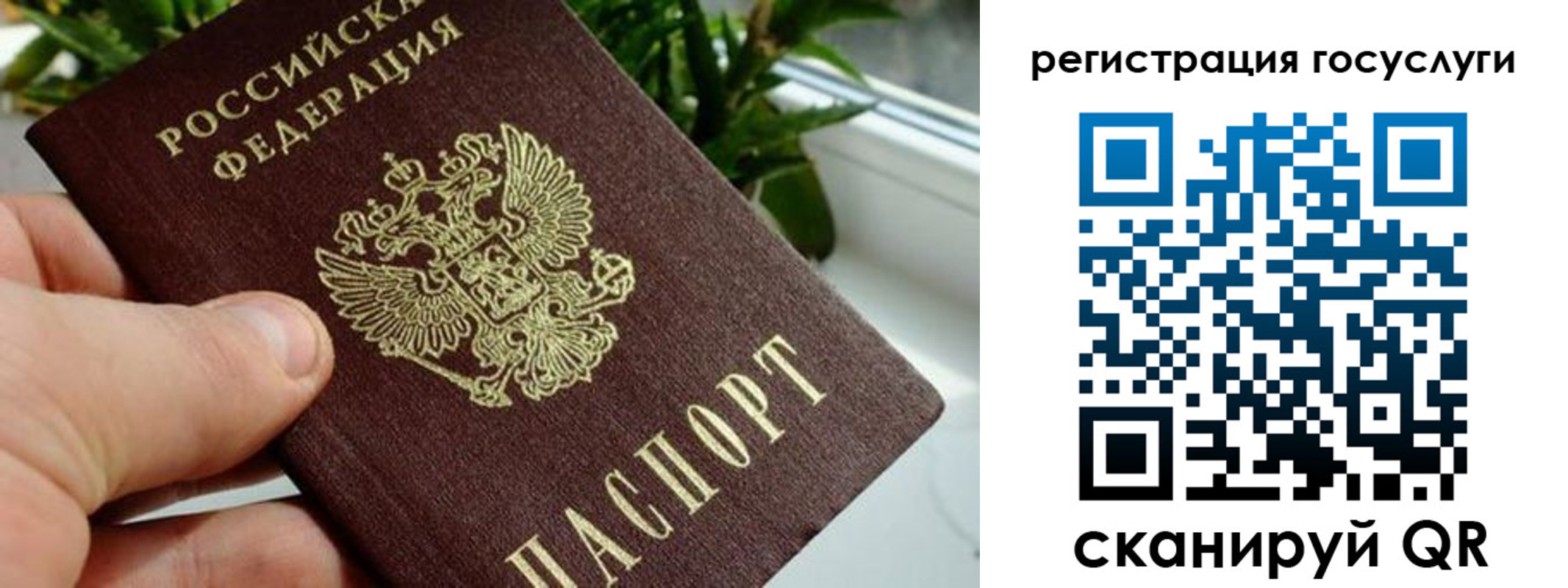 прописка для кредита в Осе